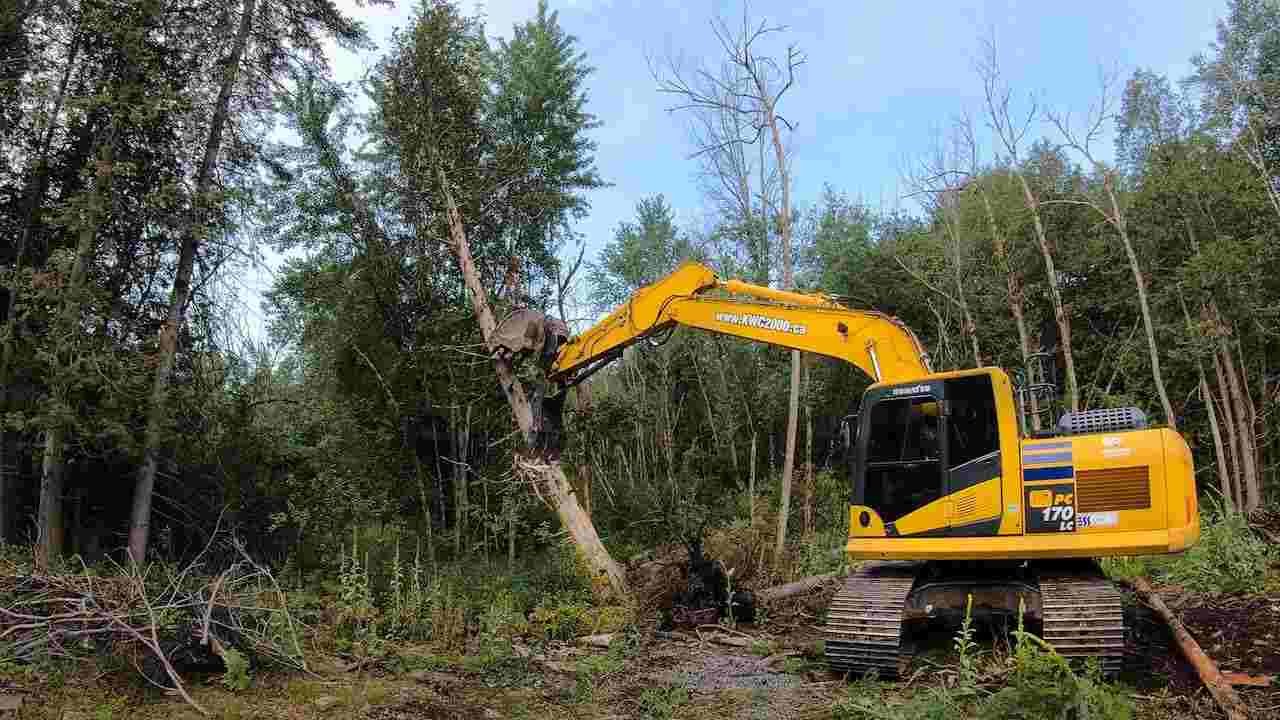 Do land clearing companies provide site preparation services?